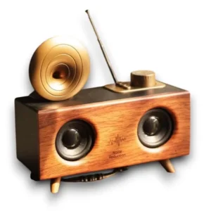 B6 Speaker Hoparlör