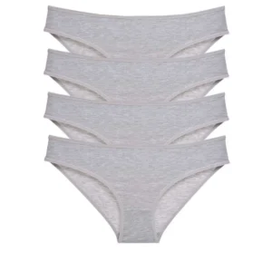 4 adet Süper Eko Set Likralı Kadın Slip Külot Gri