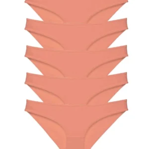 5 adet Süper Eko Set Likralı Kadın Slip Külot Pudra