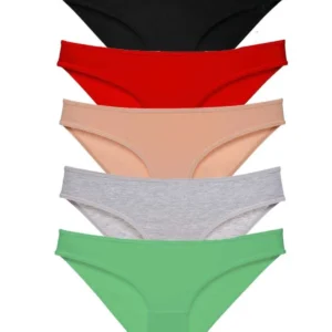 5 adet Süper Eko Set Likralı Kadın Slip Külot Siyah Kırmızı Ten Gri Yeşil