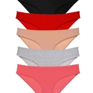 5 adet Süper Eko Set Likralı Kadın Slip Külot Siyah Kırmızı Ten Gri Fuşya