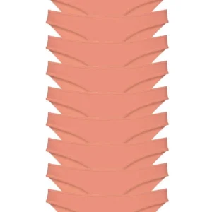 10 adet Süper Eko Set Likralı Kadın Slip Külot Pudra