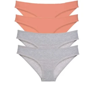 4 adet Süper Eko Set Likralı Kadın Slip Külot Pudra Gri