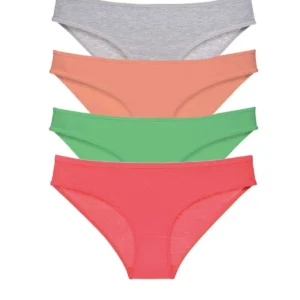4 adet Süper Eko Set Likralı Kadın Slip Külot Gri Pudra Yeşil Fuşya
