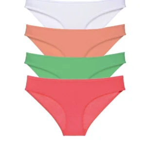 4 adet Süper Eko Set Likralı Kadın Slip Külot 526