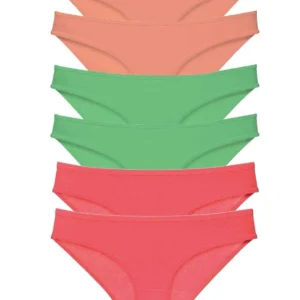 6 adet Süper Eko Set Likralı Kadın Slip Külot 549