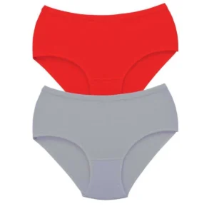 2 Adet Tutku Kadın Yüksek Bel Bato Kalın Lastik Külot S6