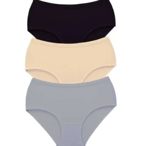 3 Adet Tutku Kadın Yüksek Bel Bato Kalın Lastik Külot S4