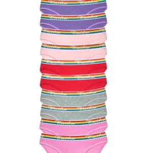 12 Adet Beli Renkli Lastik Pamuklu Kadın Slip Tutku Külot
