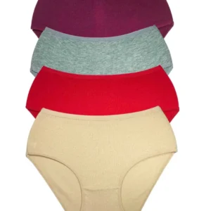 4 Adet Kadın Yüksek Bel Ribana Bato Külot S102