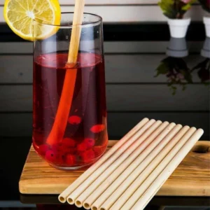 10 Adet Doğal Bambu Pipet Vegan Pipeti ve Temizleme Fırçası