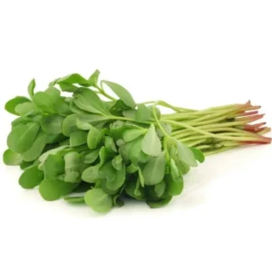 Semizotu Tohumu 10 Gr