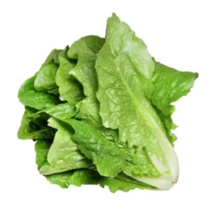 Yedikule Marul Tohumu 10 Gr