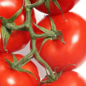 Domates Tohumu Falcon 5 Gr