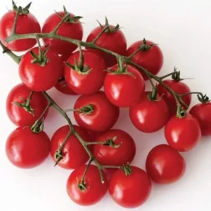 Çeri Domates Tohumu 25 Gr