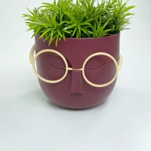 Profesör Çim Adam Dekoratif Yapay Çiçek 10x10 cm R1