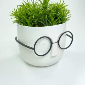 Profesör Çim Adam Dekoratif Yapay Çiçek 10x10 cm R2