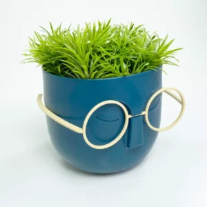 Profesör Çim Adam Dekoratif Yapay Çiçek 10x10 cm R3