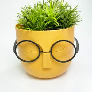 Profesör Çim Adam Dekoratif Yapay Çiçek 10x10 cm R4