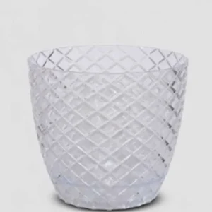 Dekoratif Orkidede Saksı 2 No: Orta Boy 1.6