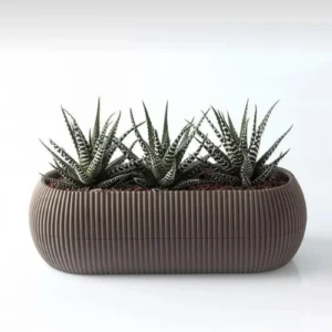 Mercan Uzun Saksı 27.7x11.8x9.8 Cm 1.3 Lt