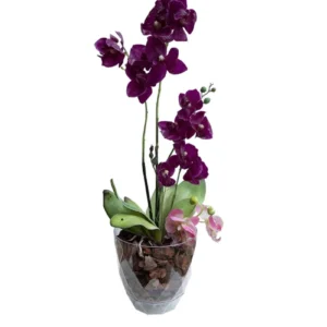 Yakamoz Orkide Saksı No 3 KRS-463