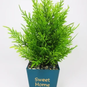 Dekor Ev Ofis Ağaç Kuşkonmaz Koyu Renk 15x30cm