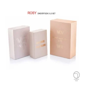 Gıpta Rosy Dikdörtgen 3'Lü Hediye Kutusu Set 4-Bx20610-2161