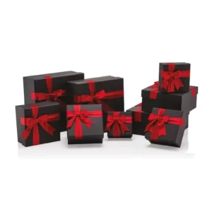 Gıpta My Black Kareli 10 Lu Hediye Kutusu Seti BX5048