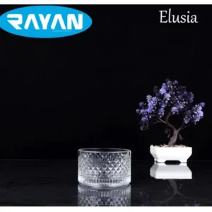 Elusia Lines Çizgili Tekli Cam Çerezlik Royaleks-82637