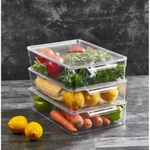 Kapaklı Buzdolabı Organizeri L 20x32,5x7,5 Cm Royaleks-12564