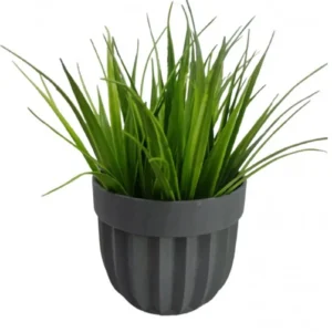 Çizgili Saksı Sazlı Çiçek Royaleks-5782