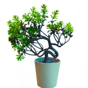 Renkli Mini Ağaç Çiçek 18x6 Cm Royaleks-5722