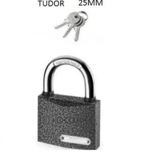 Asma Kilit Gri 25 Mm Royaleks-81717