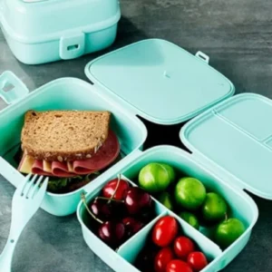 Beslenme Kutusu 4 Bölmeli 1 Adet Royaleks-G400