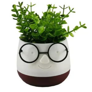 Gözlüklü Saksı Çiçek Orta Boy Royaleks-5720