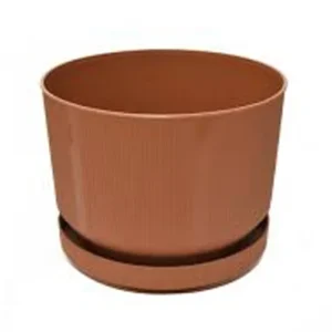 3No Saksı 6Lt Royaleks-S283