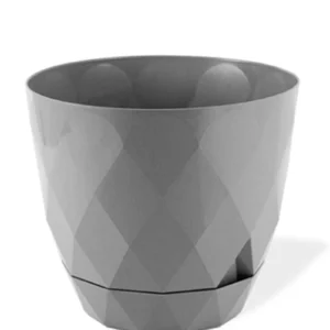 3 No Yakamoz Saksı 1 Adet Royaleks-KRS-453