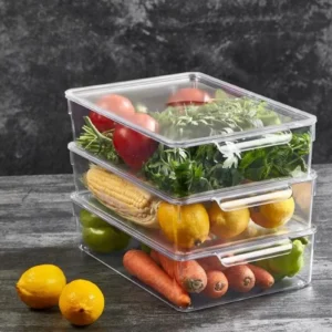 Kapaklı Buzdolabı Organizeri L 20x32,5x7,5 Cm Royaleks-12564