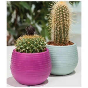 Bitki Ve Kaktüs Saksısı 0,13 Lt 1 No Royaleks-ES01