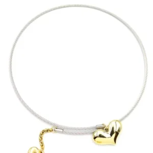 Kalp Tasma Kolye - Gümüş