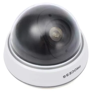 Powermaster Pm-2001 Kırmızı Ledli Maket Dome Kamera