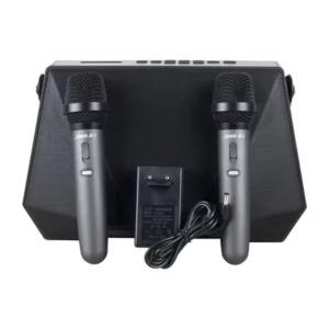 Shile Sl-3a İki El Mikrofonlu Kumandalı Usb/sd/bt Portatif Hoparlör
