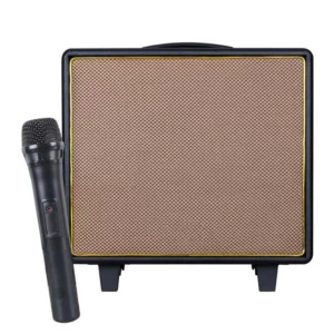 Shile Gt-10 El Mikrofonlu Usb/sd/bt Taşınabilir Hoparlör