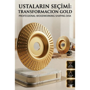 Oval Tip Bombeli Ahşap Törpü Diski 100mm | Tungsten Karbür 723063